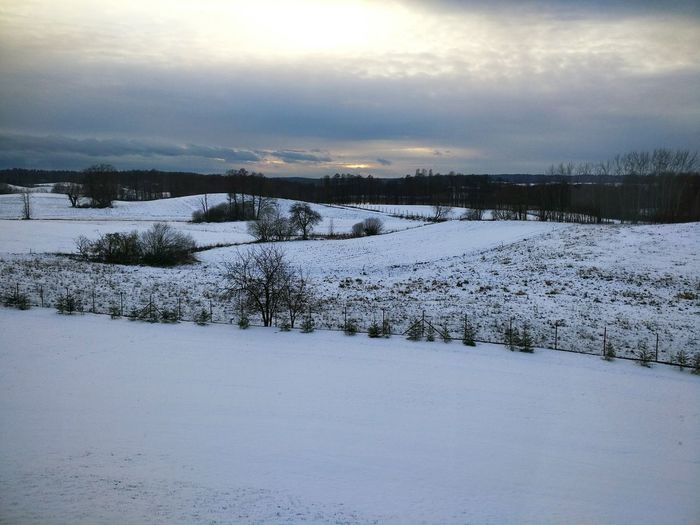 Scenic view of snow covered field