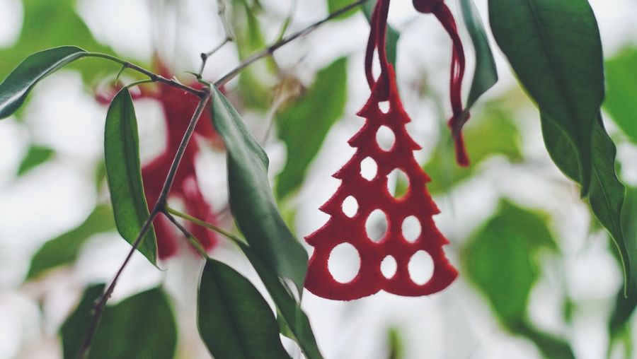 Decoration in shape of christmas tree hanging on branch