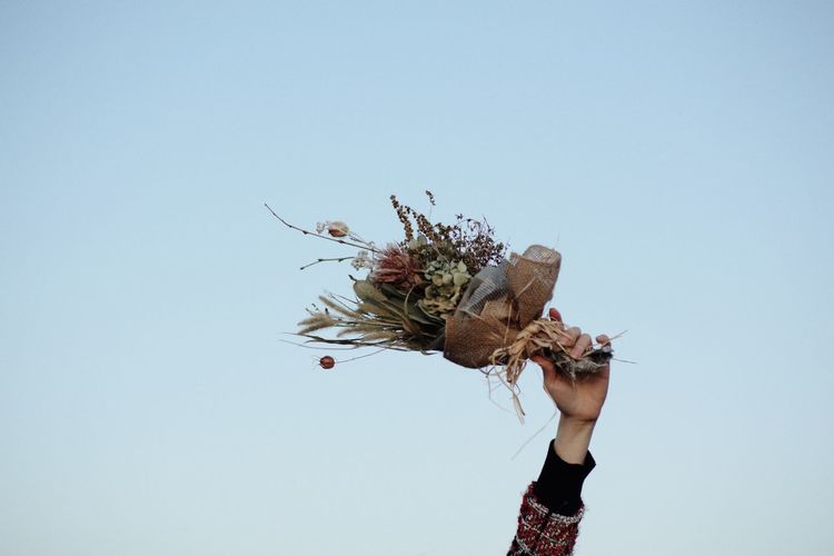Low section of person holding flowering plant against clear sky