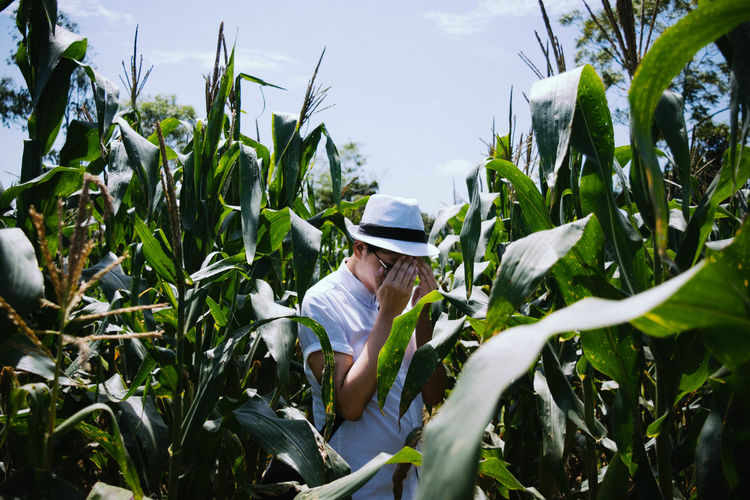 Man covering face in corn field