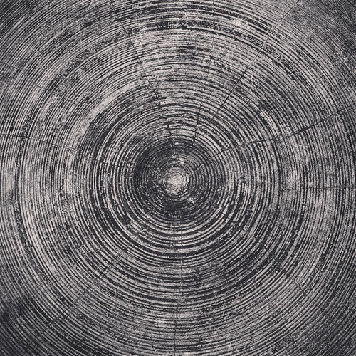Full frame shot of wood