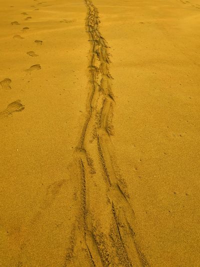 High angle view of footprints on sand at beach