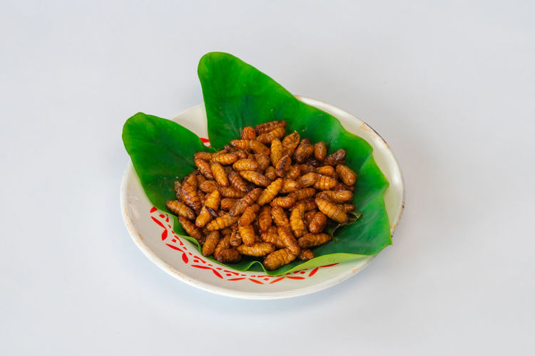 High angle view of food in plate on white background