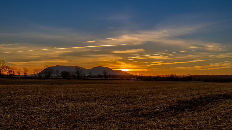 Scenic view of field against sky during sunset