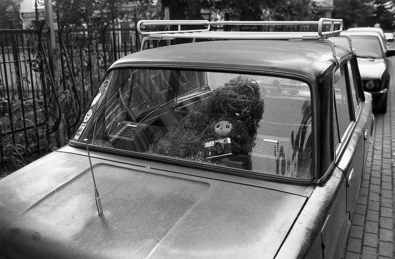 High angle portrait of reflection in car window