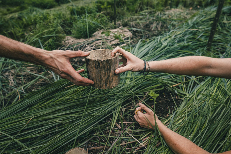 Low angle view of hands planting a plant around grass