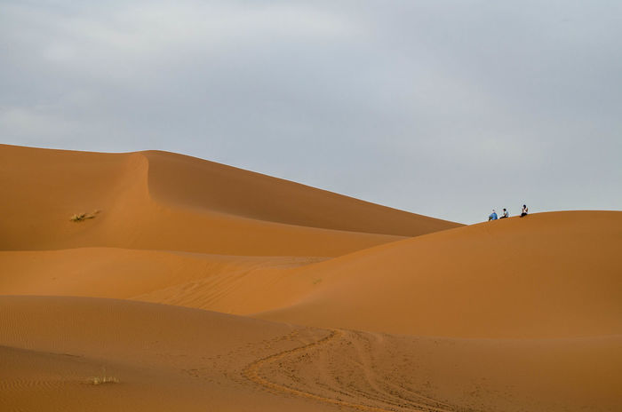 Tourists in a desert