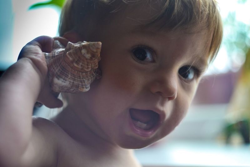 Close-up portrait of cute boy holding conch shell