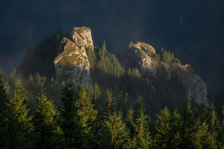 Morning landscapes from ceahlau mountain, romania.