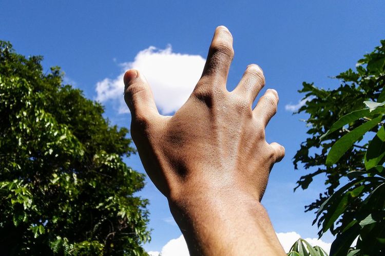 Low angle view of human hand against sky