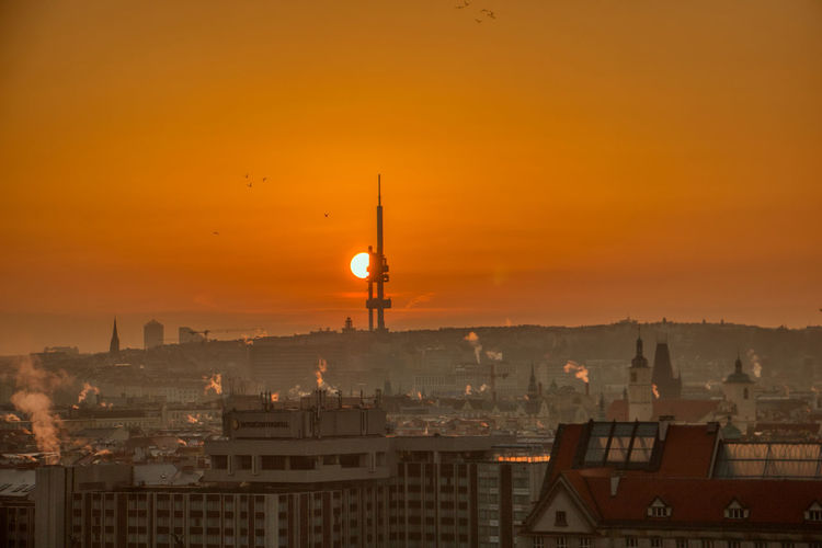 Prague tv tower at sunrise wirh roofs and birds flying