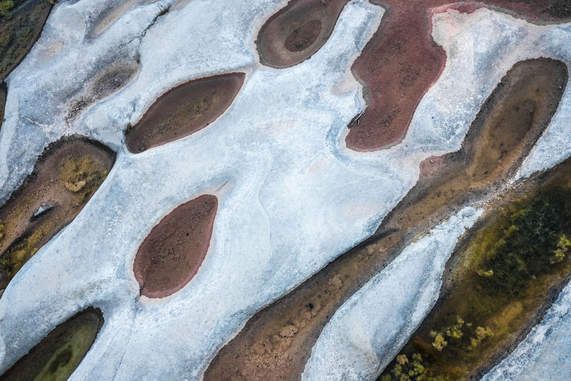 Algae grow on the bedrock of a dry river producing eutrophication
