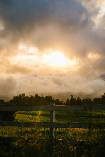 Scenic view of grassy field against cloudy sky
