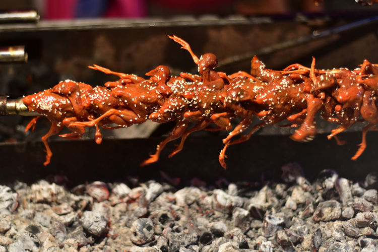 Close-up of crab on barbecue grill