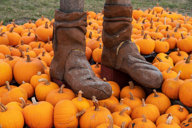 Close-up of pumpkins for sale at market
