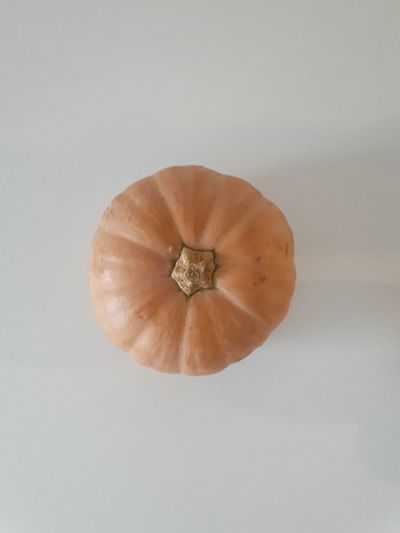 High angle view of pumpkins against white background