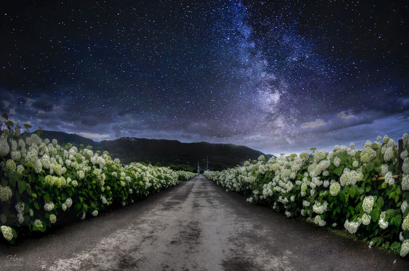 Road amidst field against sky at night