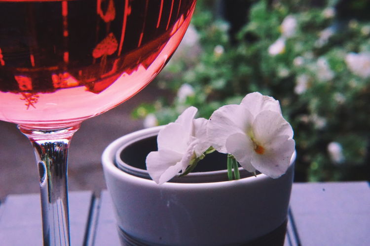 Close-up of red rose in glass on table