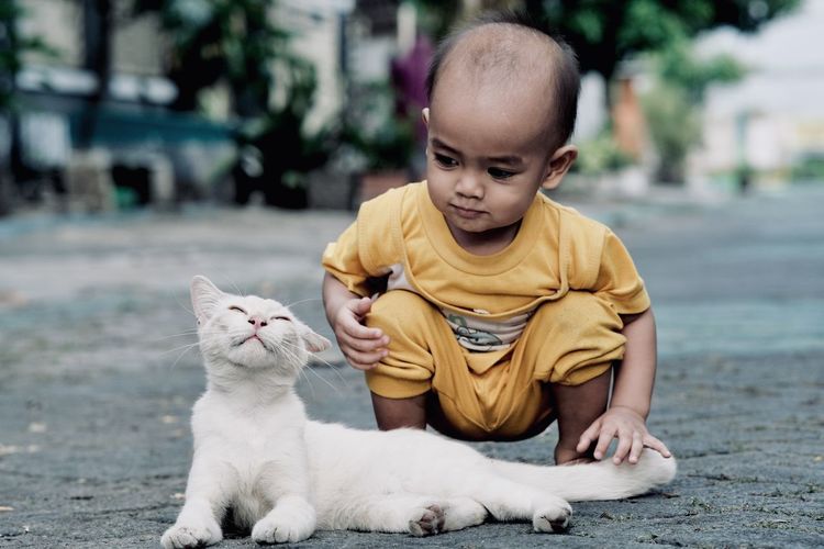 Portrait of a cute boy playing with his cat on the roadside in front of his house