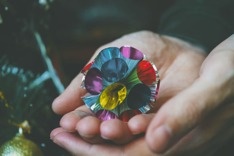Close-up of hand holding multi colored flower