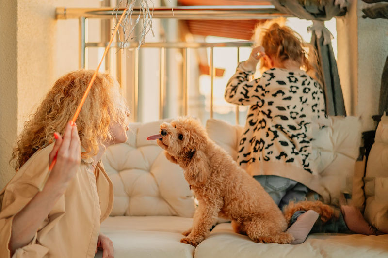 Happy mother and daughter play at home on the balcony, sitting on a hammock chair, with a pet