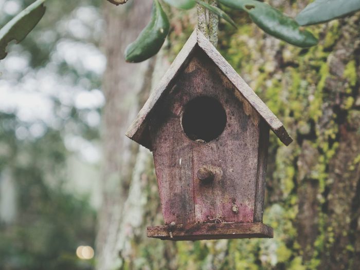 Close-up of birdhouse