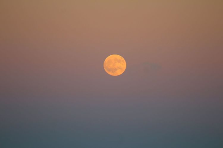 Low angle view of moon in sky at sunset