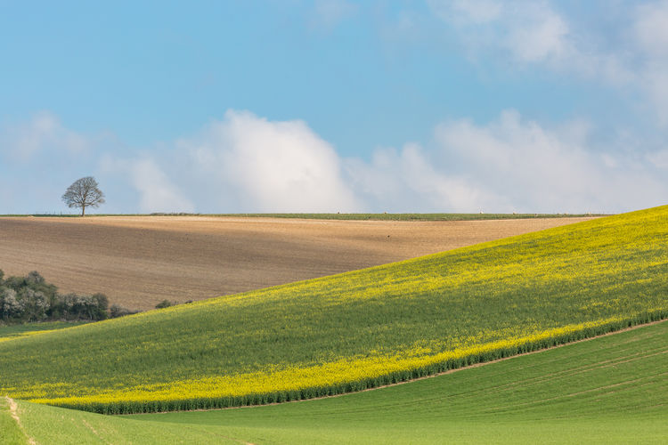 Looking out over farmland in the south downs in sussex, on a sunny spring day