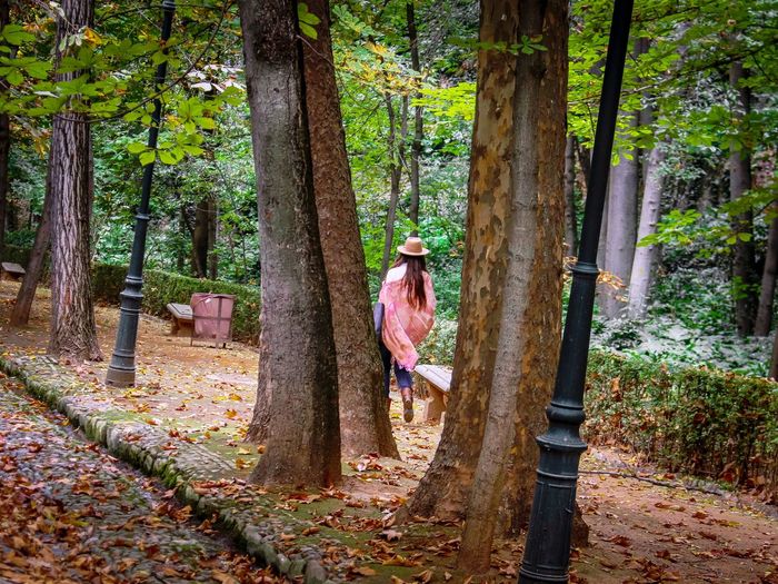 Woman walking on footpath amidst trees in forest