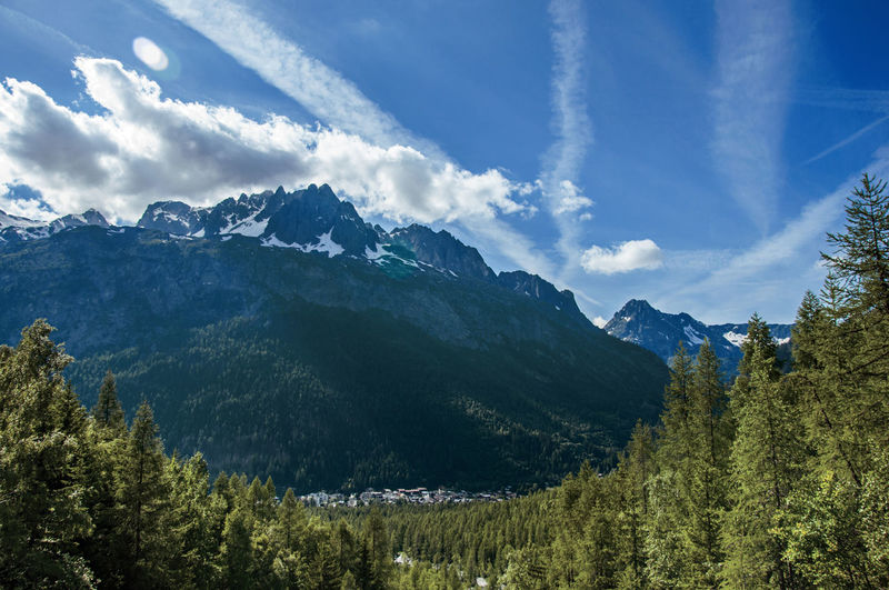 Evergreen forest with snowy mountains, village and blue sky in argentiere, france.