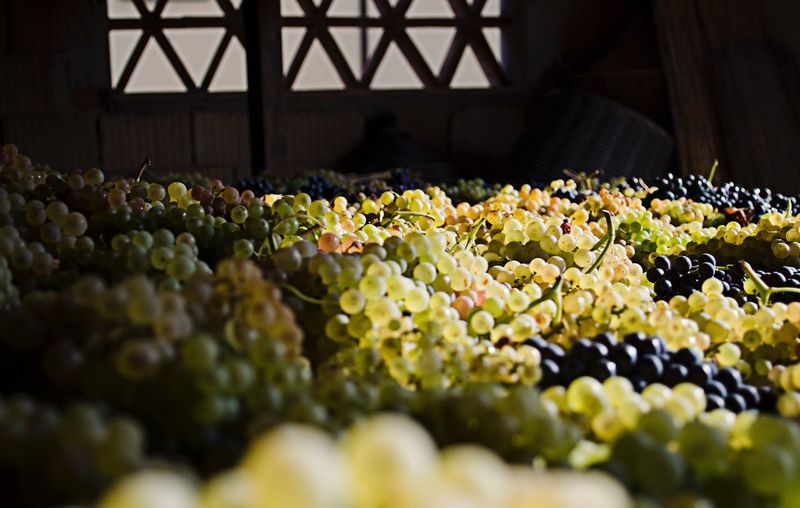 Close-up of grapes for sale in market