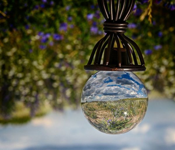 Close-up of crystal ball hanging on tree