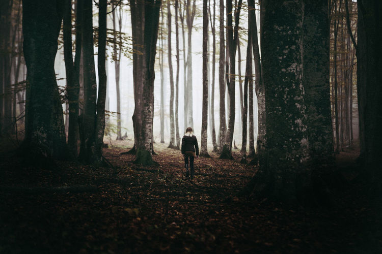 Rear view of woman walking on field in forest