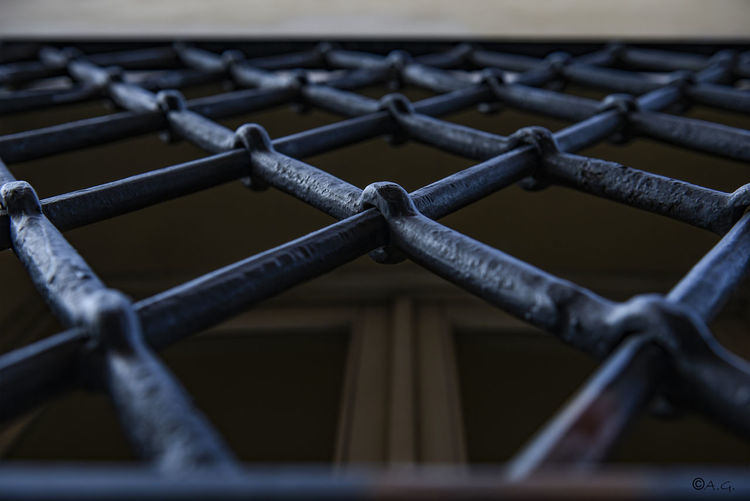 Close-up of metal fence