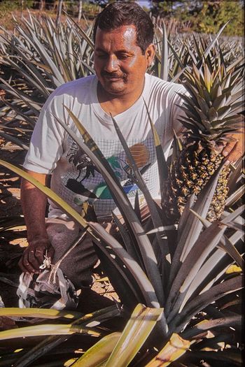 Portrait of man holding plants