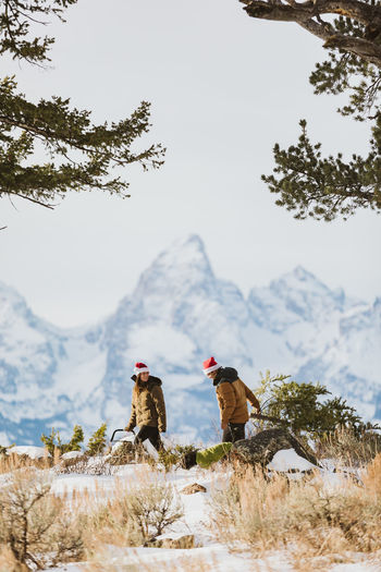 Couple cuts down christmas tree in the tetons christmas tree