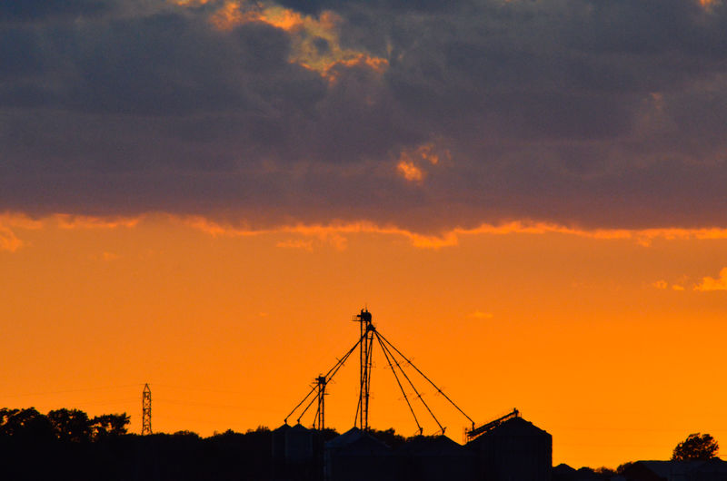 Silhouette of crane at sunset