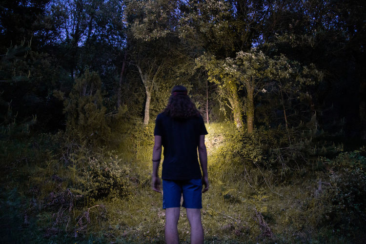 Rear view of woman standing by the forest