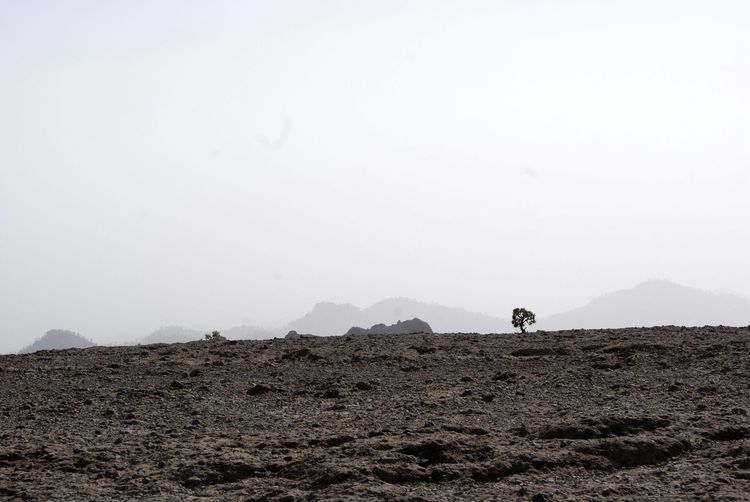 View of uncultivated landscape against sky