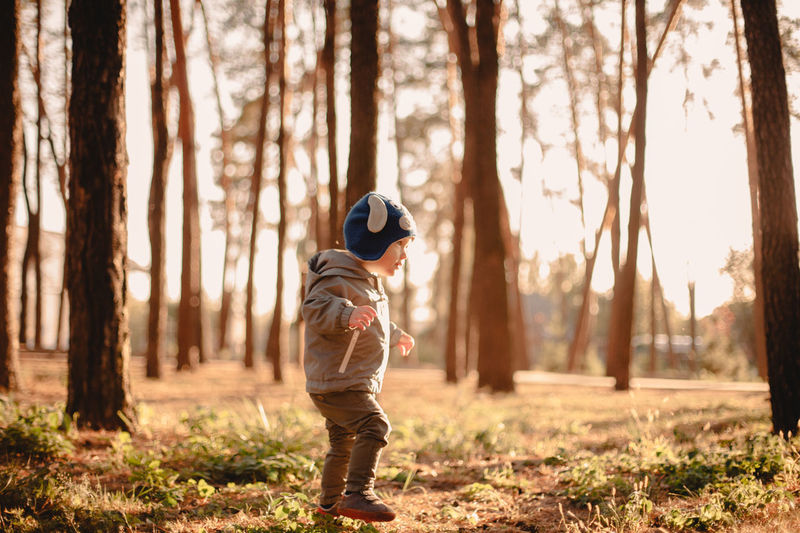 Little toddler boy walking in park during sunny day in autumn