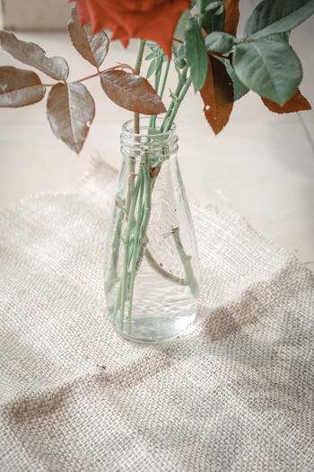 Close-up of hand holding glass jar on table