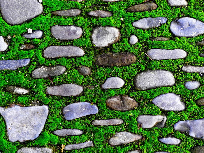 High angle view of stones on stone