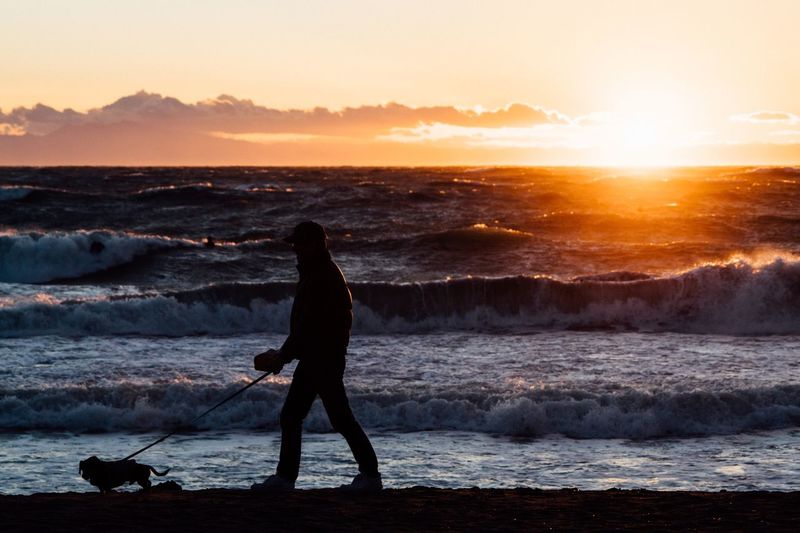 Silhouette man with dog walking at beach against sky during sunset