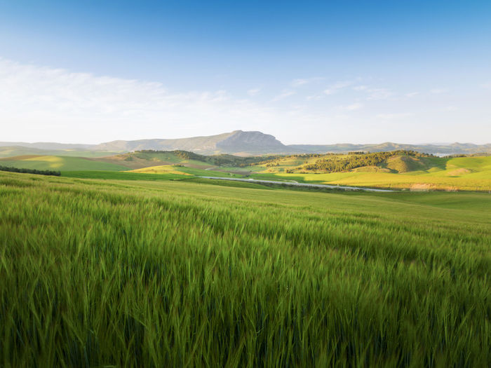 Landscape in ardales, malaga, spain