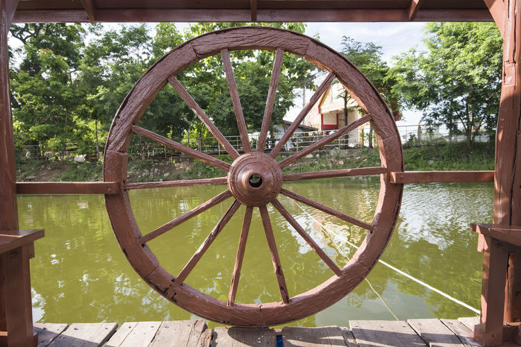 Close-up of wheel on tree