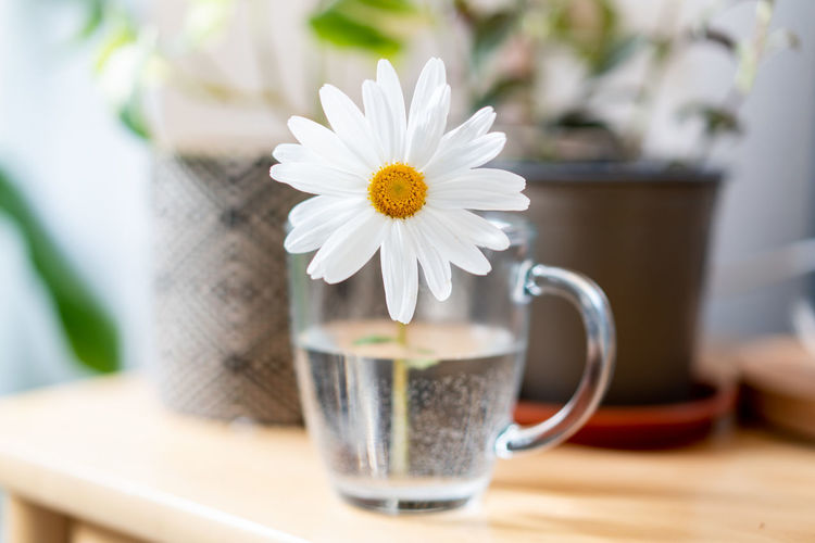 Close-up of coffee on table