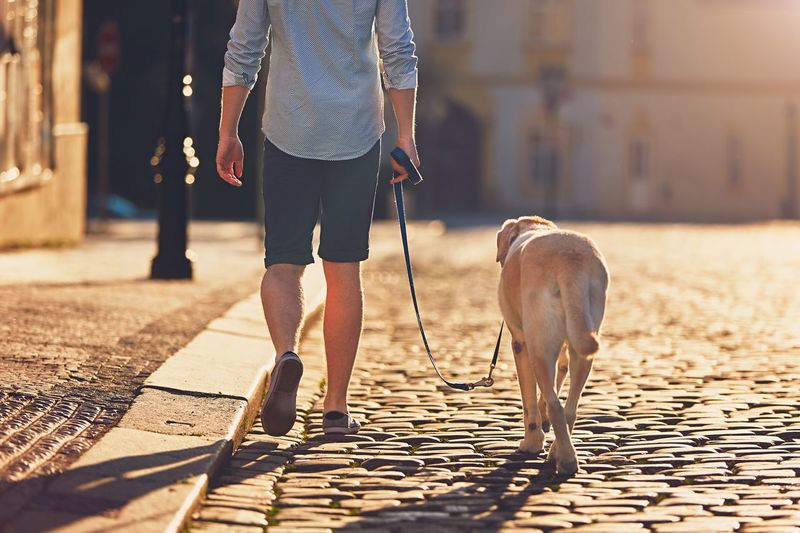 Rear view of man with dog walking on cobblestone 