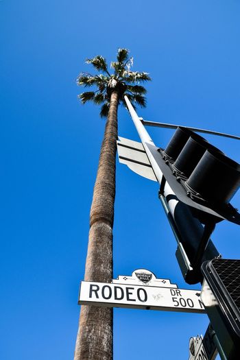 Low angle view of stoplight by palm tree against blue sky