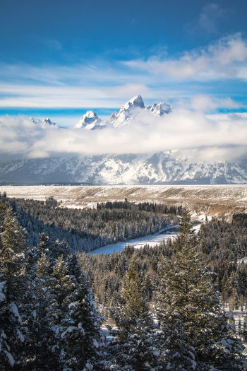 Scenic view of forest and snowcapped mountains against sky