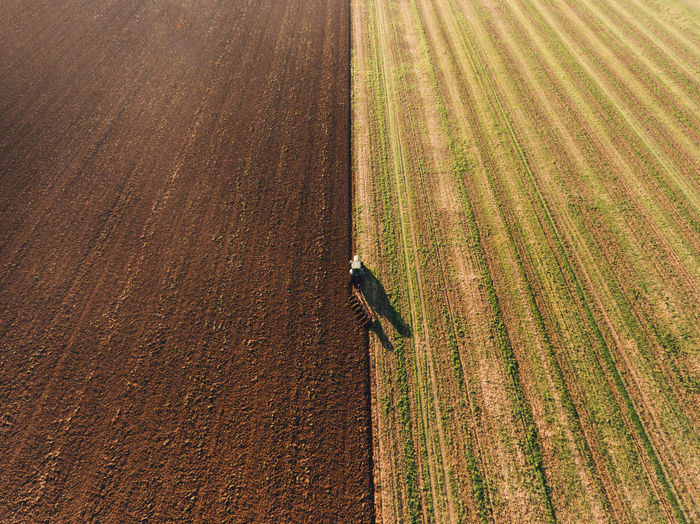High angle view of corn field with harvester